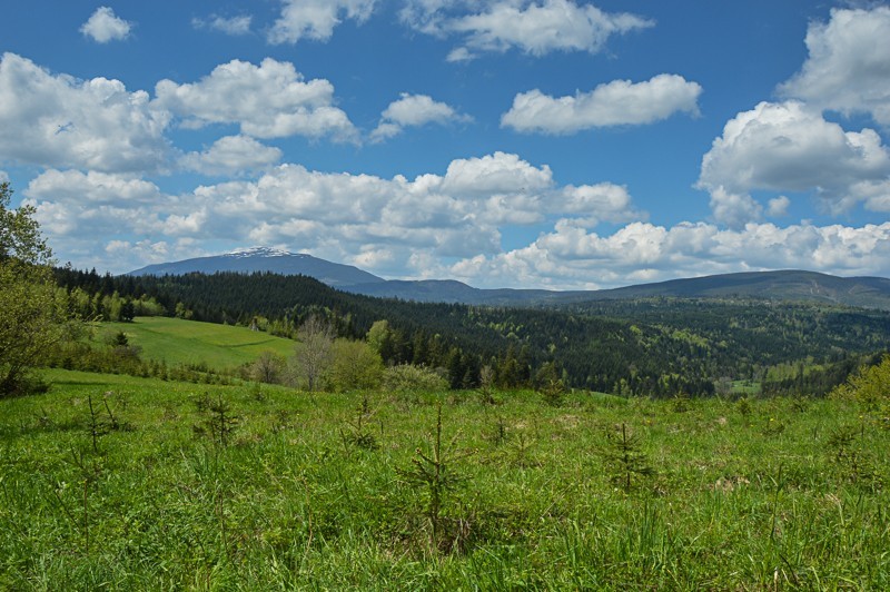 Babia Góra i Pasmo Polic