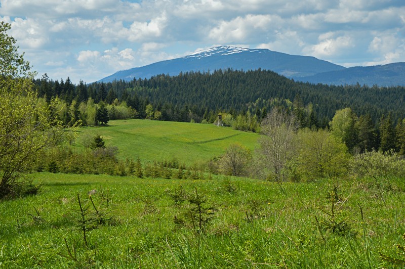 Babia Góra