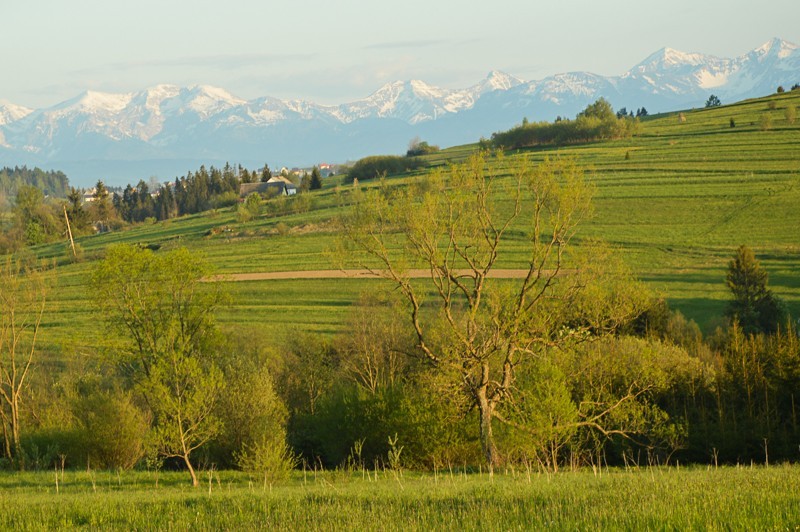 Tatry z Orawy