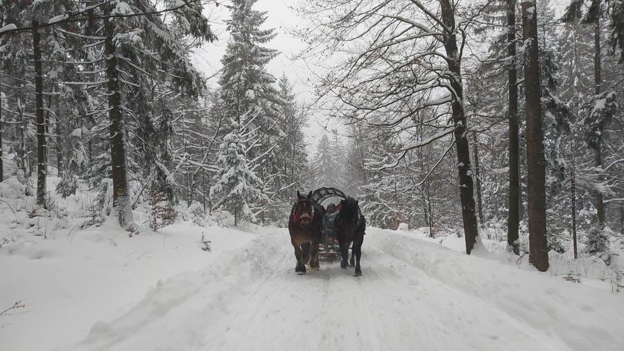 01 - Przełęcz Przegibek - na Magurkę, na biegówki, na Gaiki