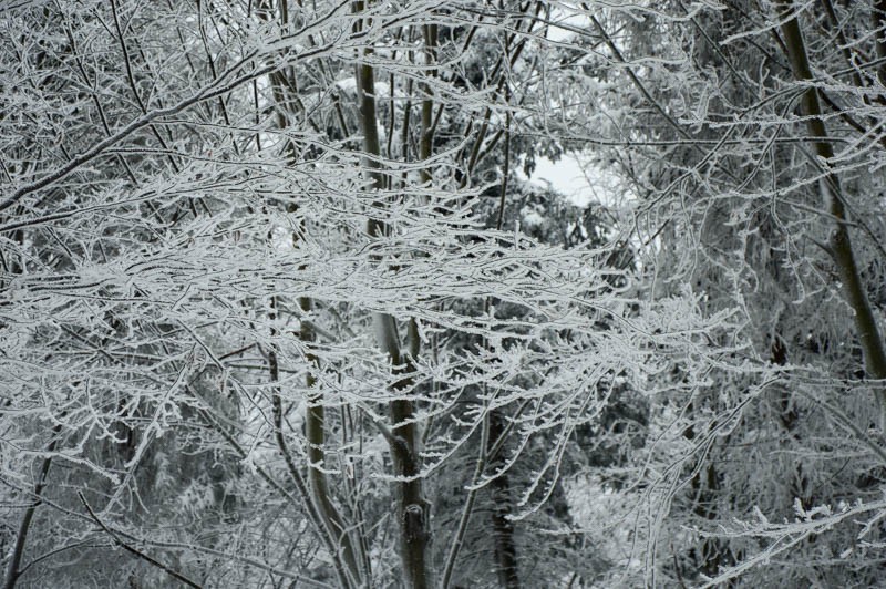 04 - Przełęcz Przegibek - na Magurkę, na biegówki, na Gaiki