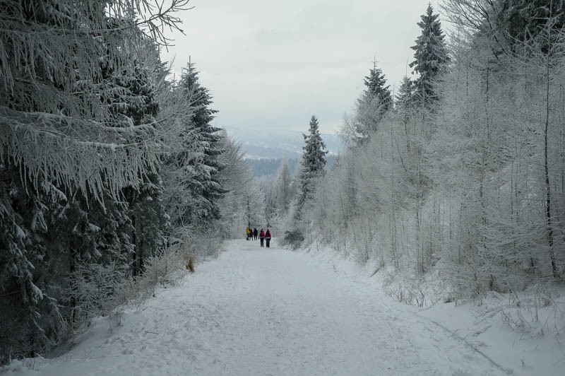 06 - Przełęcz Przegibek - na Magurkę, na biegówki, na Gaiki