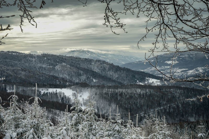 39 - Przełęcz Przegibek - na Magurkę, na biegówki, na Gaiki