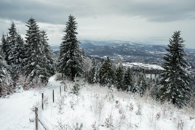 62 - Przełęcz Przegibek - na Magurkę, na biegówki, na Gaiki