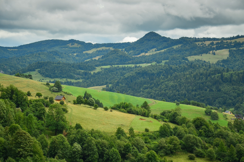 Przehybę