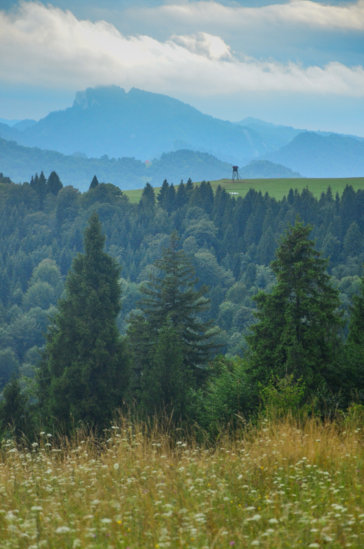 Widok znad Jaworek