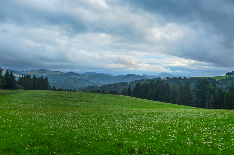 Widok znad Jaworek