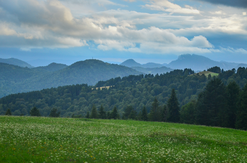 Widok znad Jaworek