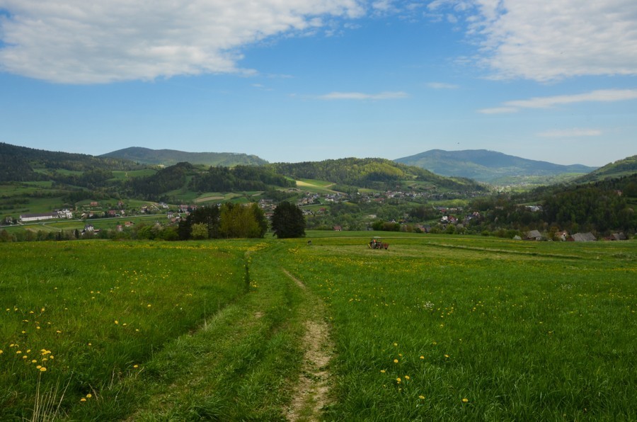 Czarny szlak Rabka - Mszana