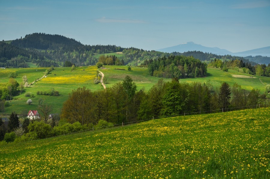 Czarny szlak Rabka - Mszana