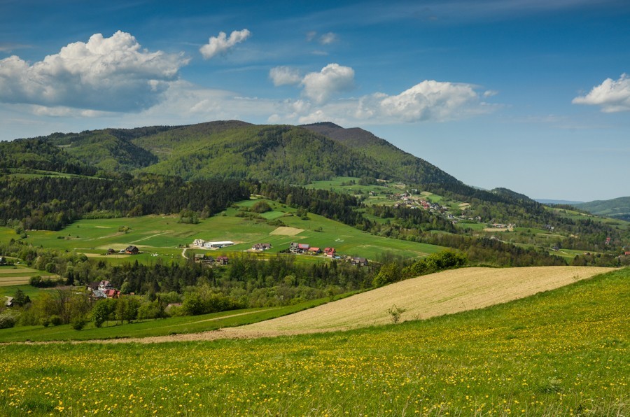 Czarny szlak Rabka - Mszana