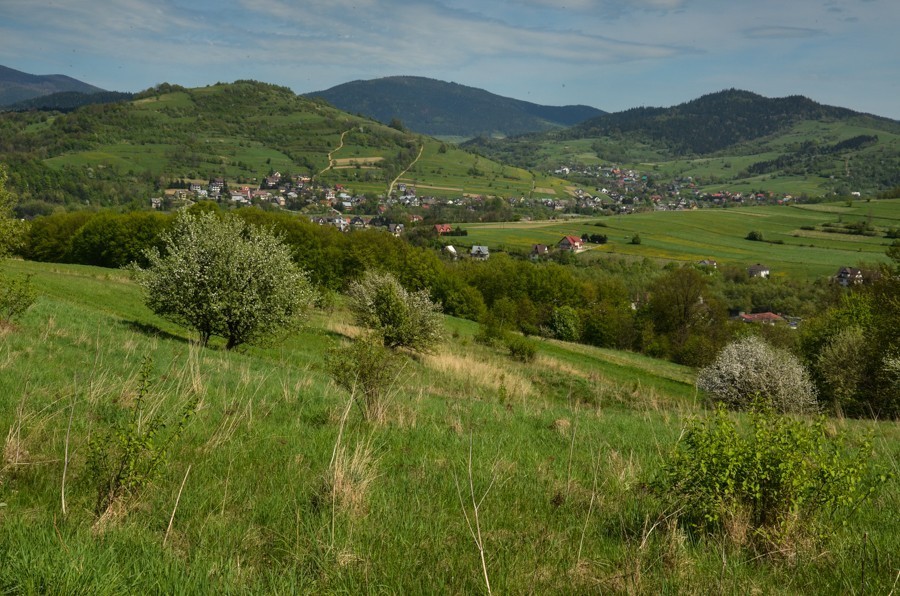 Czarny szlak Rabka - Mszana