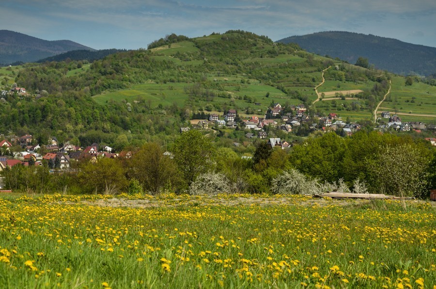 Czarny szlak Rabka - Mszana