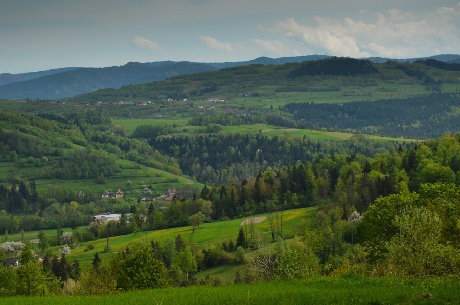 Czarny szlak Rabka - Mszana