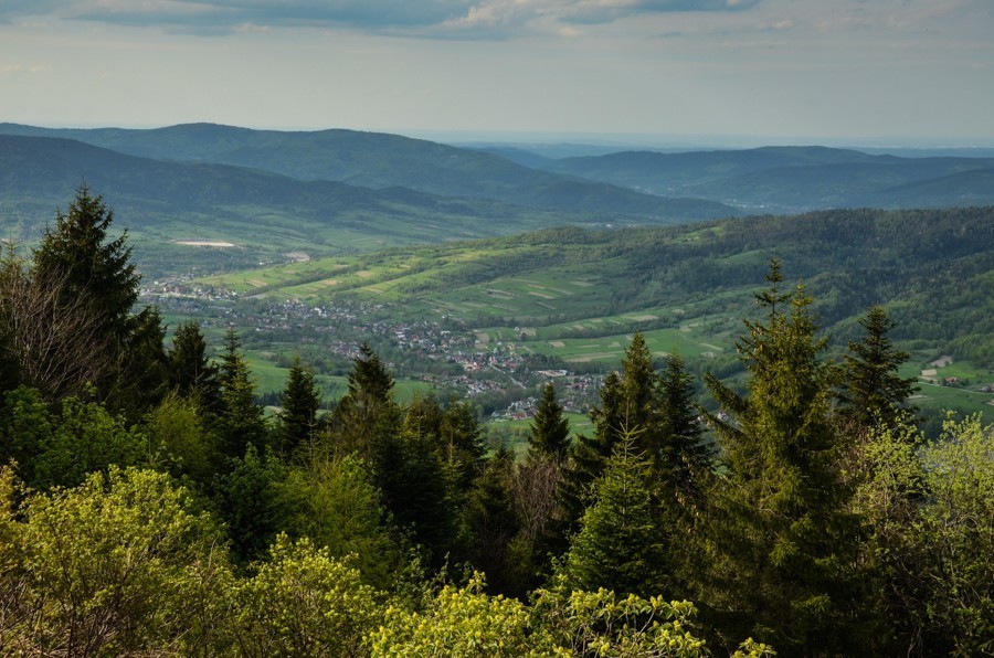 Czarny szlak Rabka - Mszana