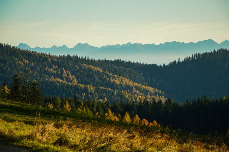 Tatry z Maciejowej