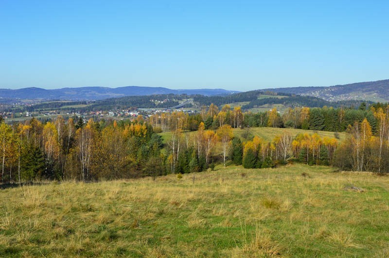 13 - Jesień z brzozami odchodzi. Z Rdzawki na Maciejową