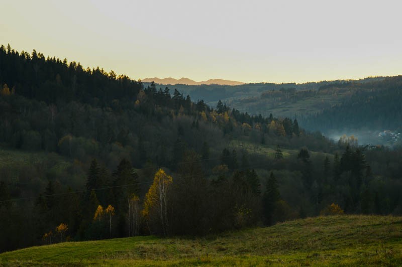 Z Rdzawki na Maciejową