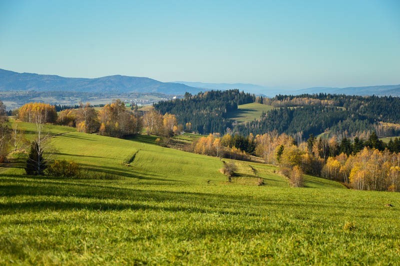 49 - Jesień z brzozami odchodzi. Z Rdzawki na Maciejową