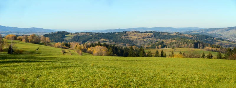 51 - Jesień z brzozami odchodzi. Z Rdzawki na Maciejową