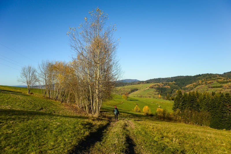 57 - Jesień z brzozami odchodzi. Z Rdzawki na Maciejową