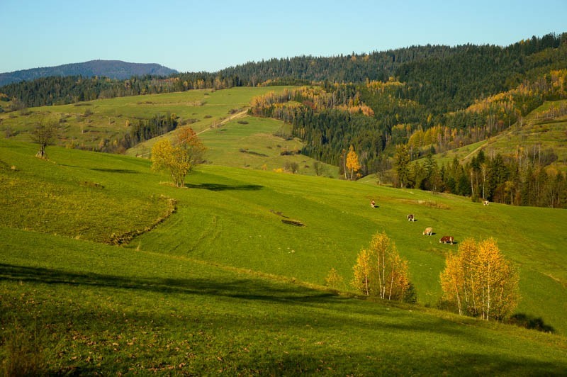 Z Rdzawki na Maciejową