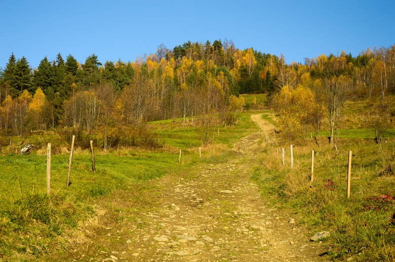 Z Rdzawki na Maciejową