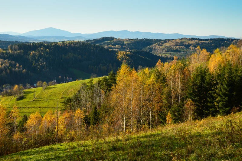 80 - Jesień z brzozami odchodzi. Z Rdzawki na Maciejową