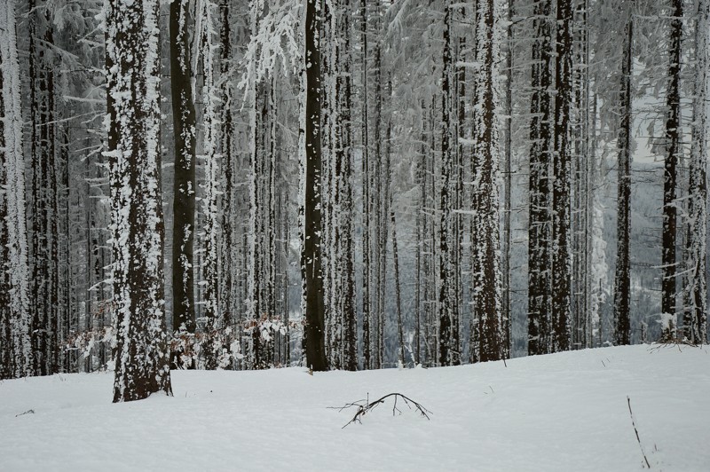 Kotarnica