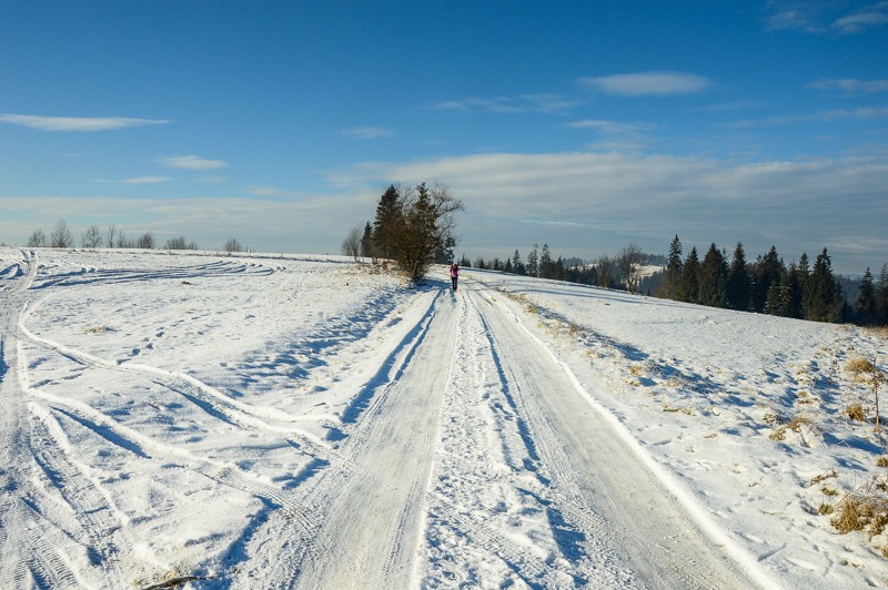 10 - Przełęcz Sieniawska - Stare Wierchy. Gorce od początku