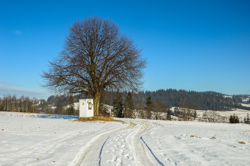 19 - Przełęcz Sieniawska - Stare Wierchy. Gorce od początku