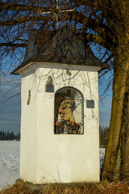 20 - Przełęcz Sieniawska - Stare Wierchy. Gorce od początku