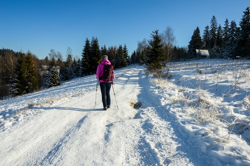 31 - Przełęcz Sieniawska - Stare Wierchy. Gorce od początku