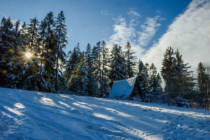 34 - Przełęcz Sieniawska - Stare Wierchy. Gorce od początku