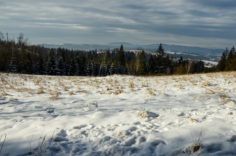 35 - Przełęcz Sieniawska - Stare Wierchy. Gorce od początku