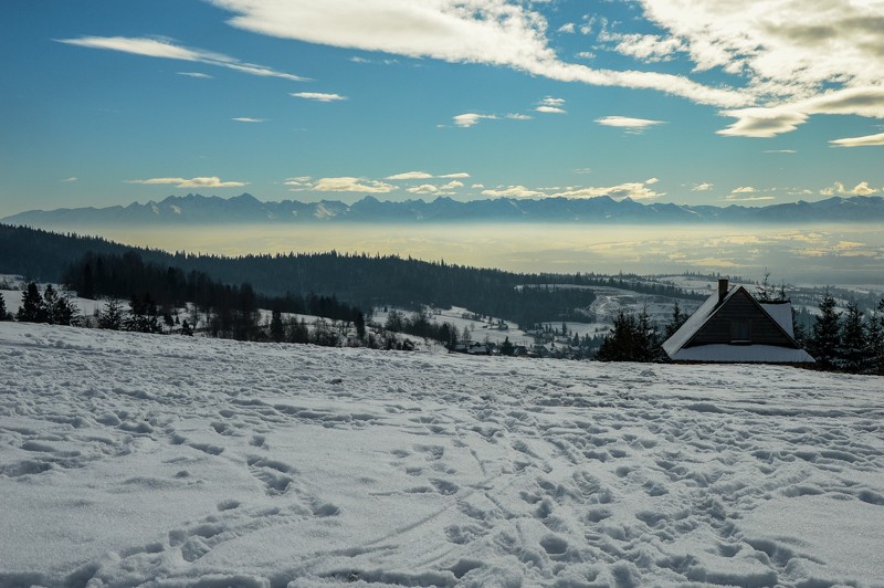 43 - Przełęcz Sieniawska - Stare Wierchy. Gorce od początku