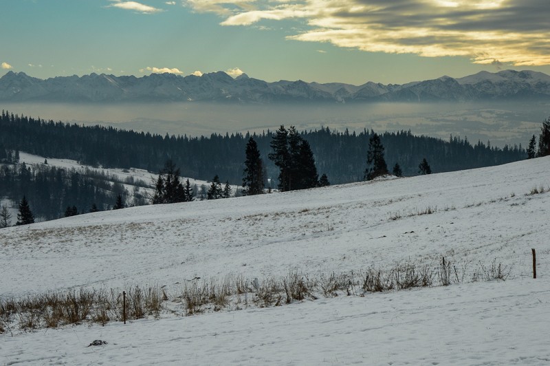 46 - Przełęcz Sieniawska - Stare Wierchy. Gorce od początku