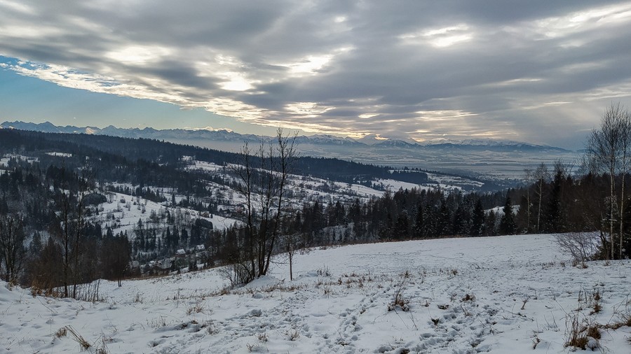 49 - Przełęcz Sieniawska - Stare Wierchy. Gorce od początku