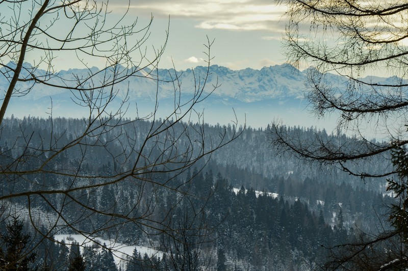 53 - Przełęcz Sieniawska - Stare Wierchy. Gorce od początku