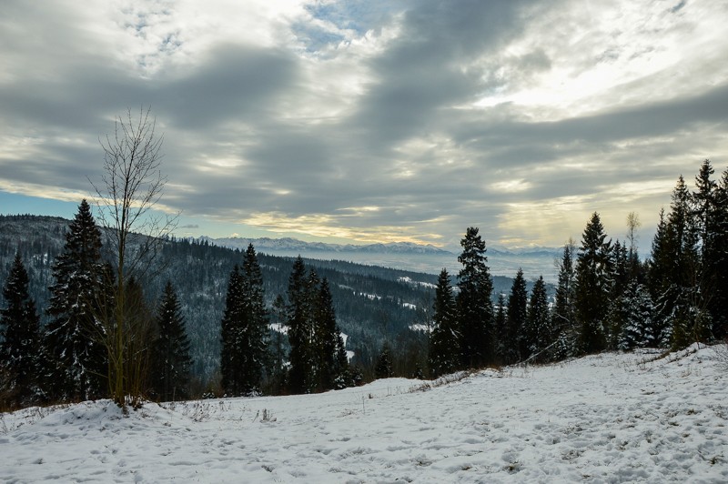 54 - Przełęcz Sieniawska - Stare Wierchy. Gorce od początku