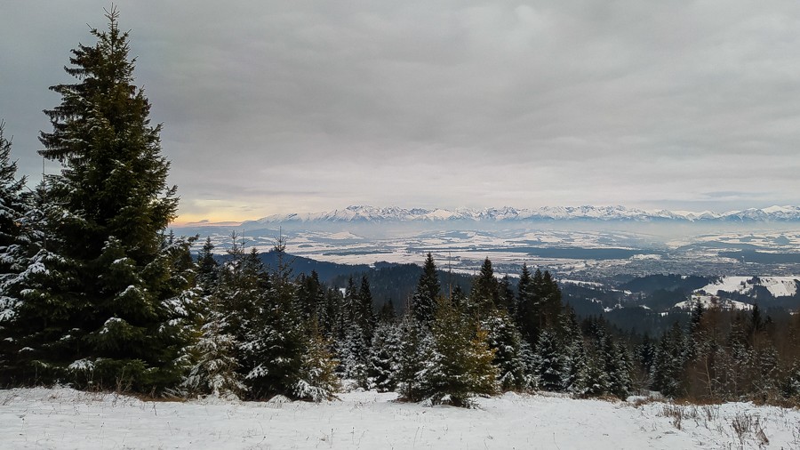 60 - Przełęcz Sieniawska - Stare Wierchy. Gorce od początku