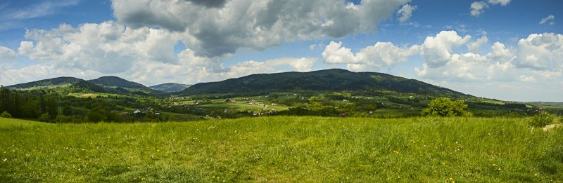 09 - Pieninki Skrzydlańskie i Wierzbanowska Góra majowo