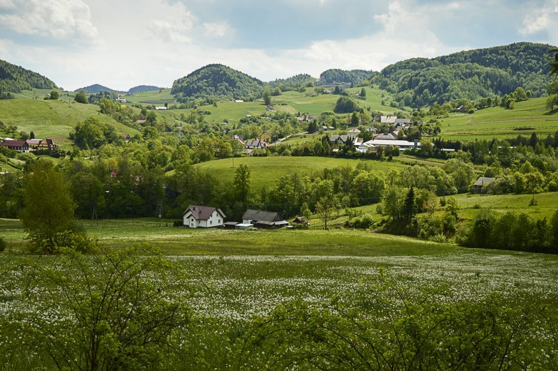 Pieninki Skrzydlańskie