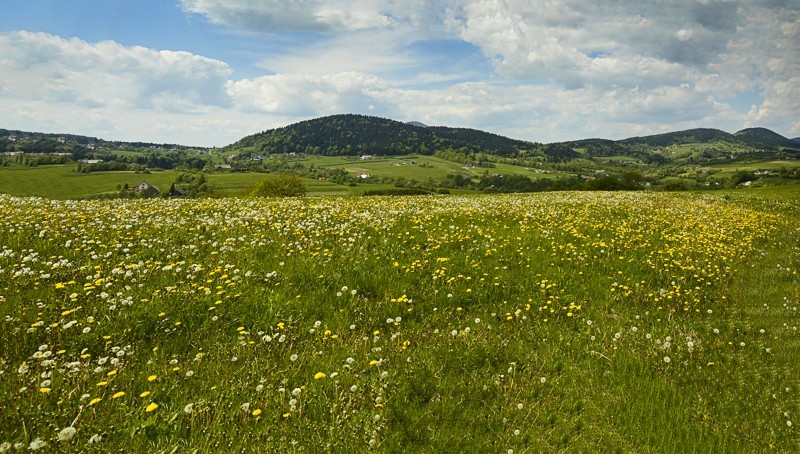 Pieninki Skrzydlańskie