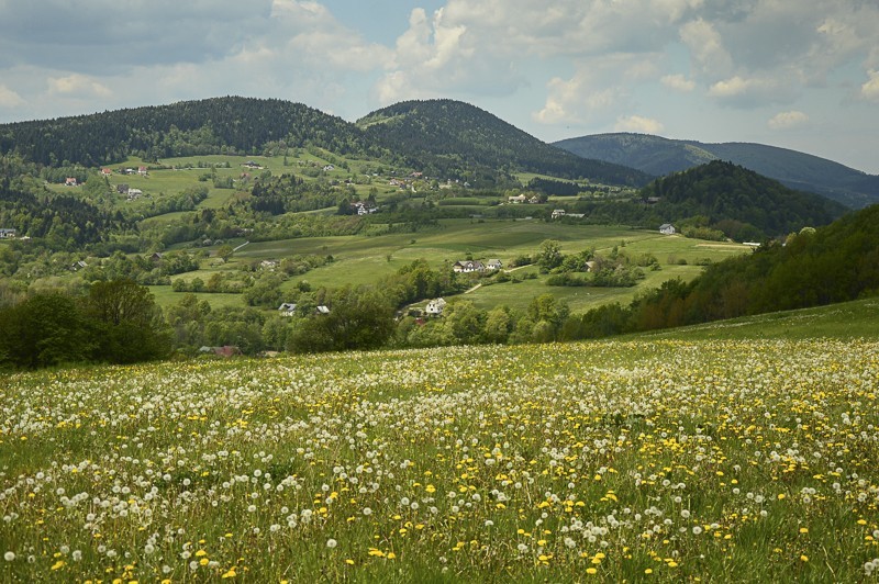 Pieninki Skrzydlańskie