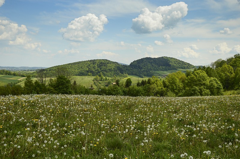 Pieninki Skrzydlańskie