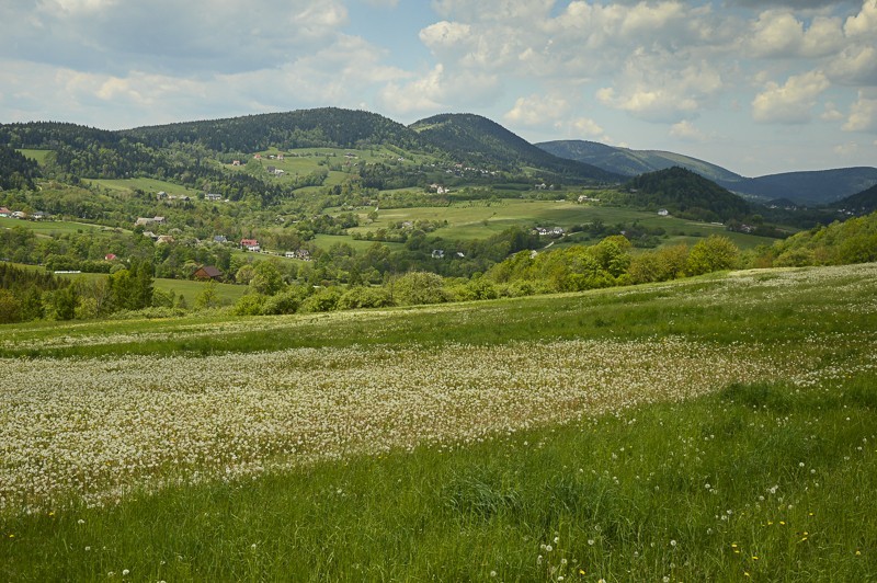 Pieninki Skrzydlańskie