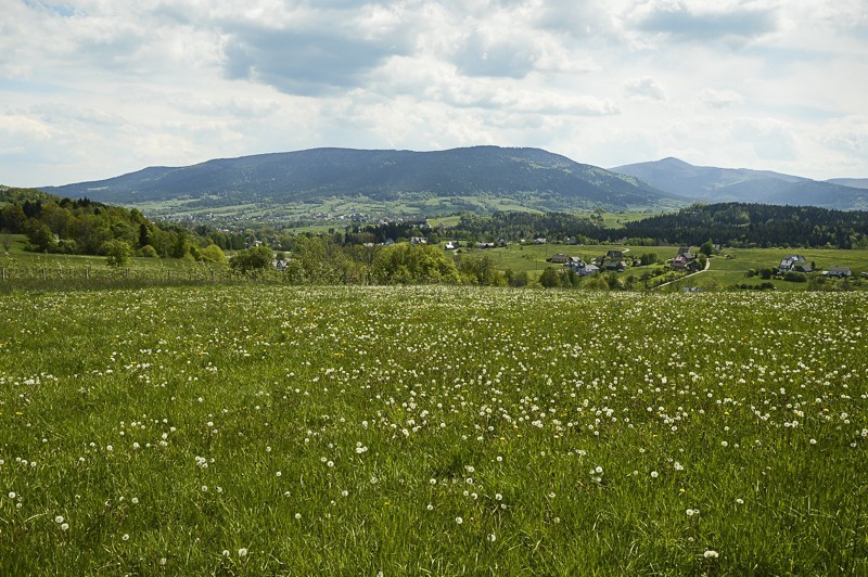 Pieninki Skrzydlańskie