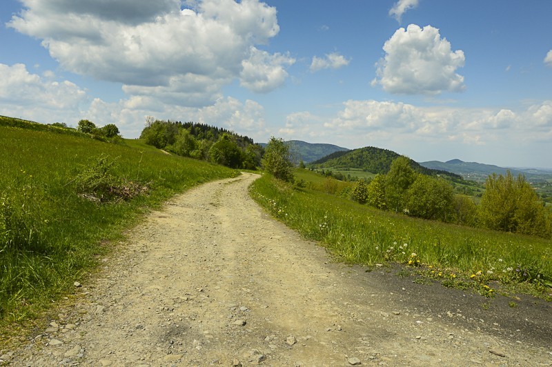 39 - Pieninki Skrzydlańskie i Wierzbanowska Góra majowo