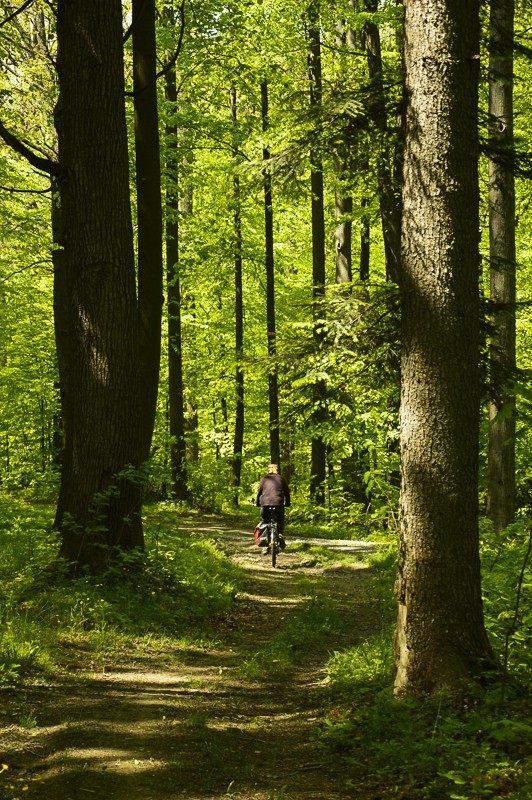 53 - Pieninki Skrzydlańskie i Wierzbanowska Góra majowo